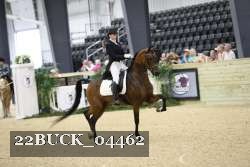 22BUCK_04462 proof