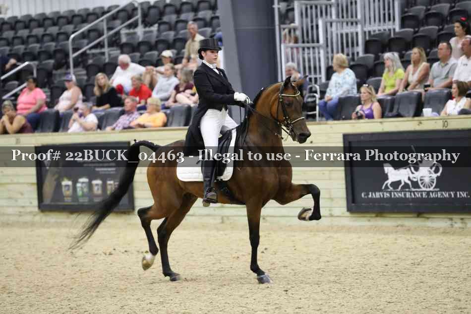 Proof 22BUCK_04463