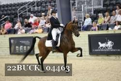 22BUCK_04463 proof