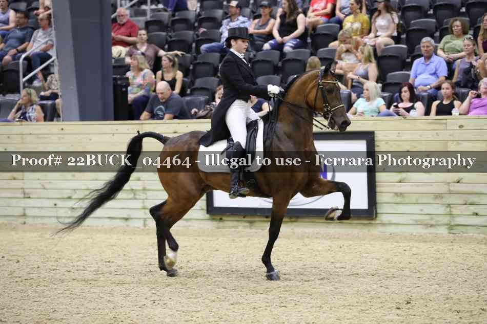 Proof 22BUCK_04464