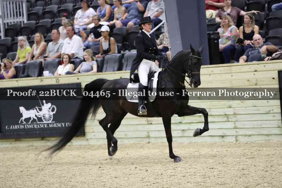 Proof 22BUCK_04465