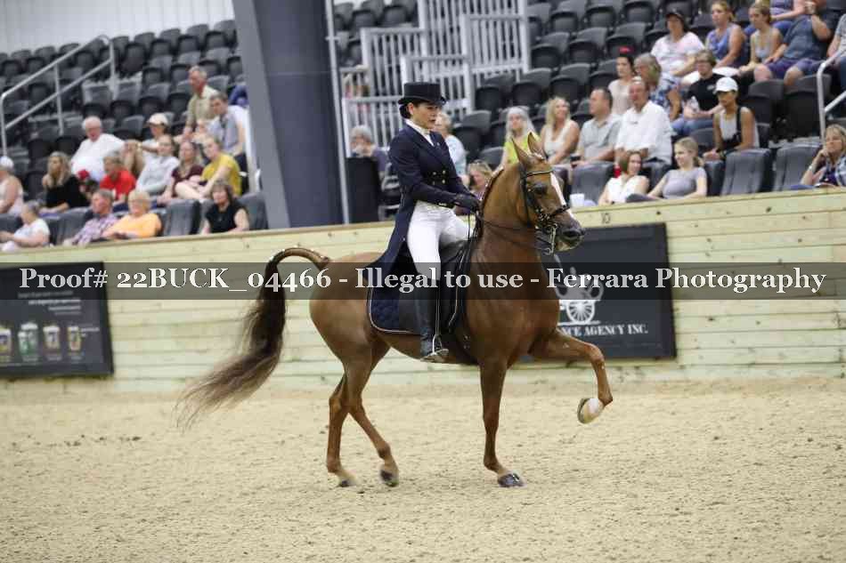 Proof 22BUCK_04466