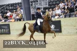 22BUCK_04466 proof