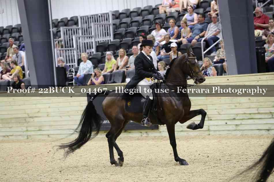 Proof 22BUCK_04467