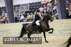 22BUCK_04467 proof