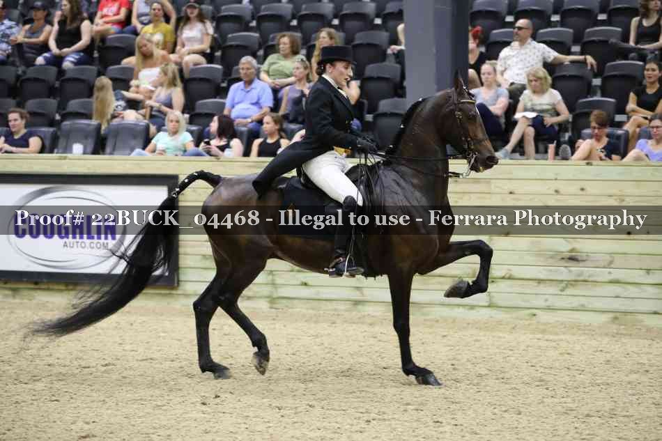 Proof 22BUCK_04468