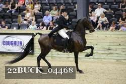 22BUCK_04468 proof