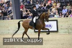 22BUCK_04469 proof