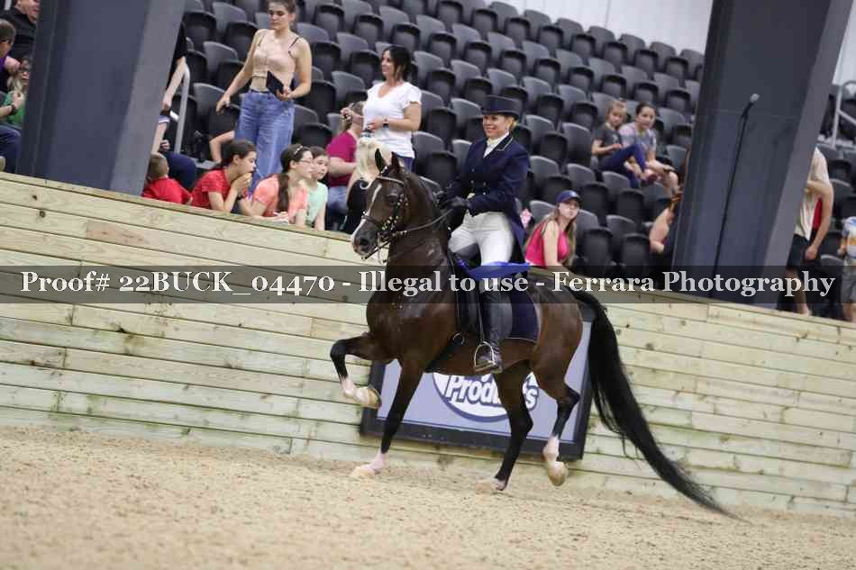 Proof 22BUCK_04470