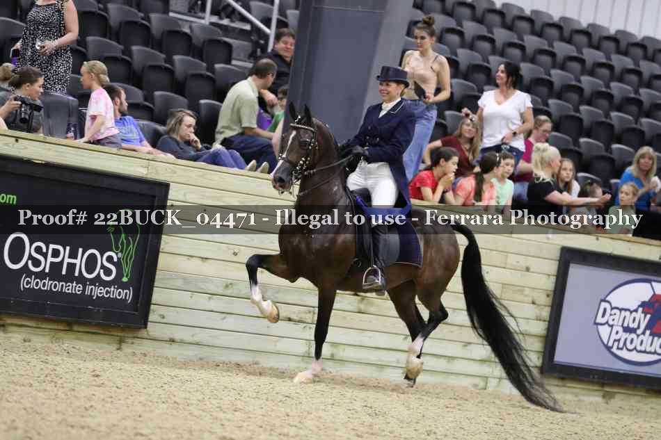 Proof 22BUCK_04471