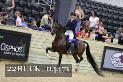 22BUCK_04471 proof