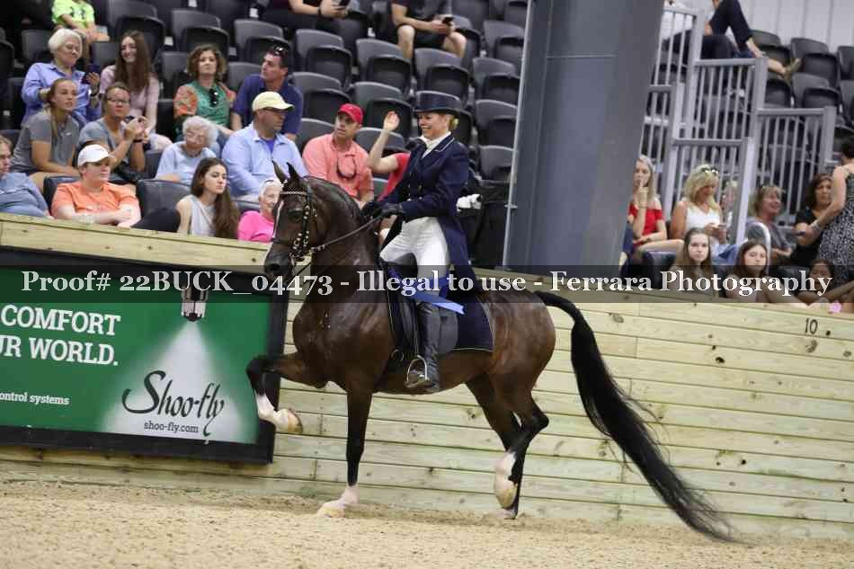 Proof 22BUCK_04473