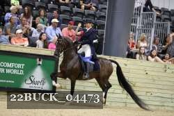 22BUCK_04473 proof