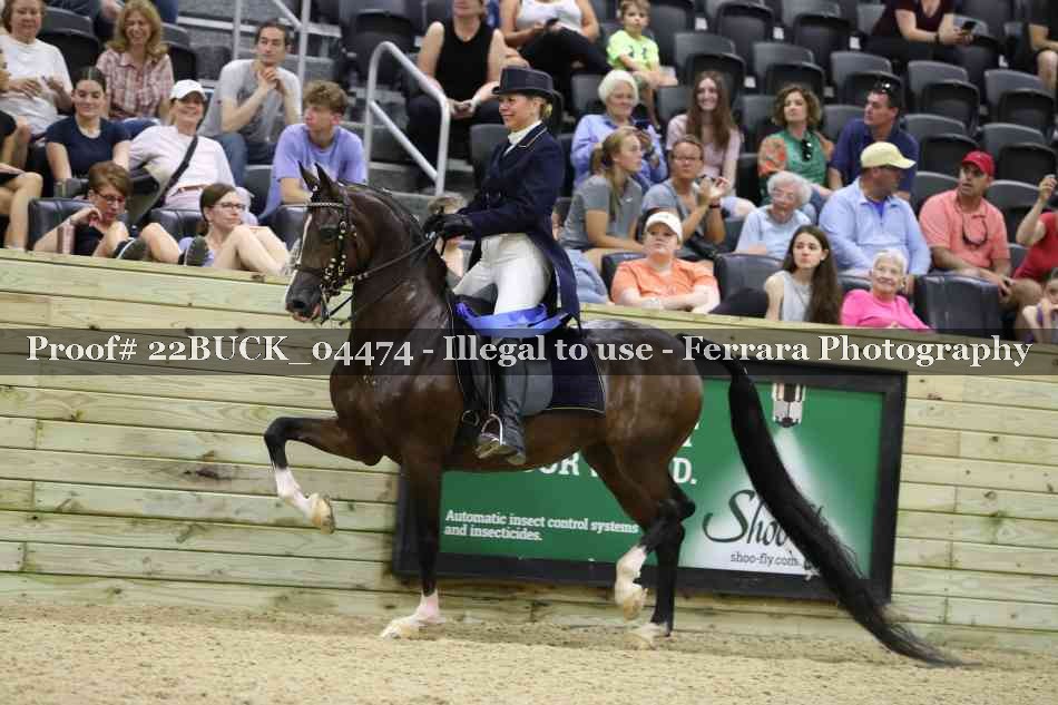 Proof 22BUCK_04474