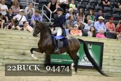 22BUCK_04474 proof