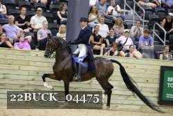 22BUCK_04475 proof