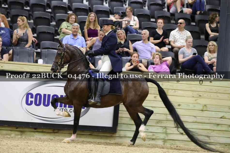 Proof 22BUCK_04476