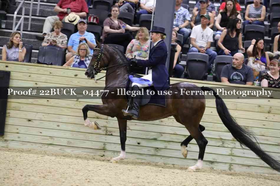 Proof 22BUCK_04477