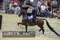 22BUCK_04477 proof