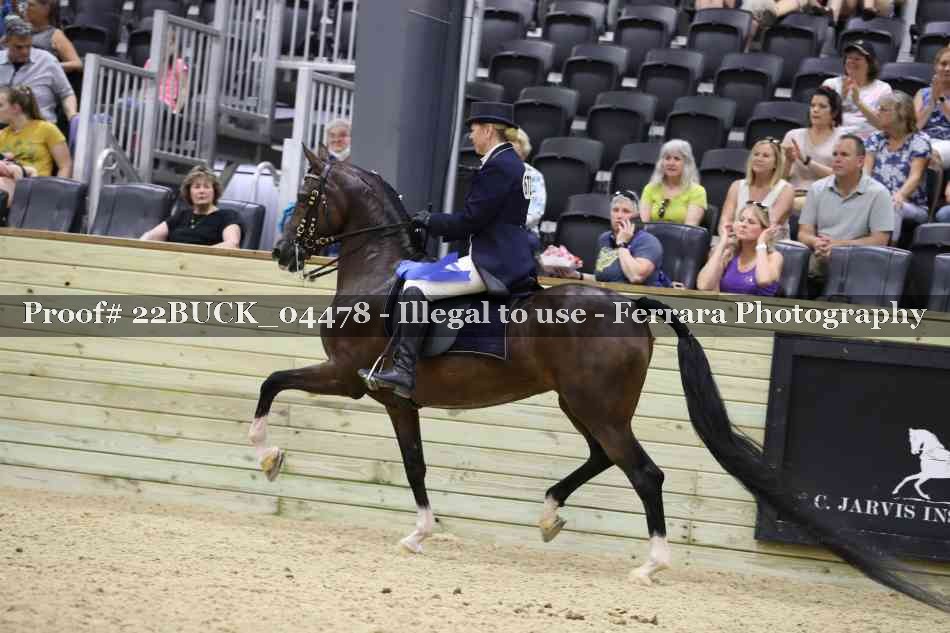 Proof 22BUCK_04478