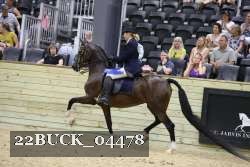 22BUCK_04478 proof