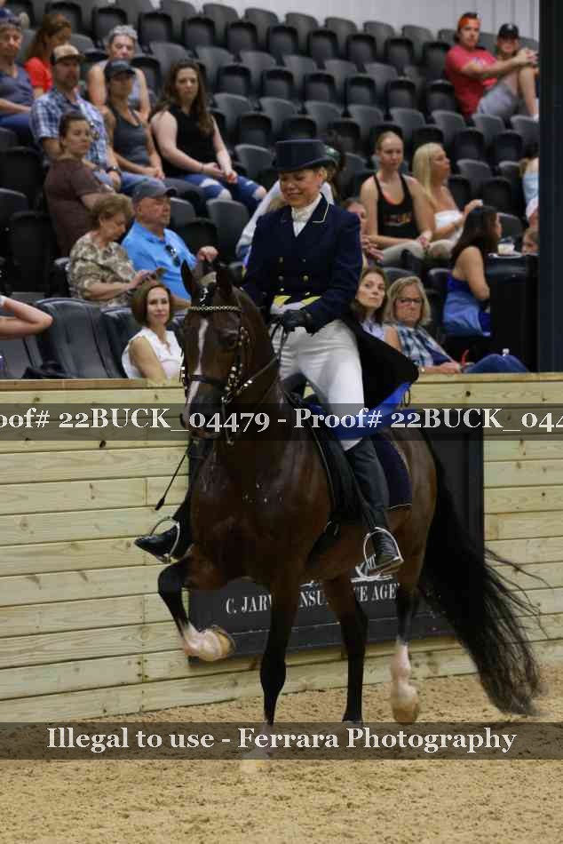 Proof 22BUCK_04479