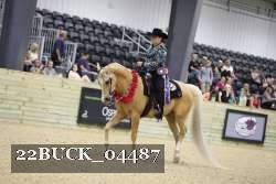 22BUCK_04487 proof
