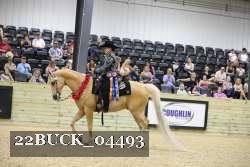 22BUCK_04493 proof