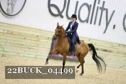 22BUCK_04499 proof