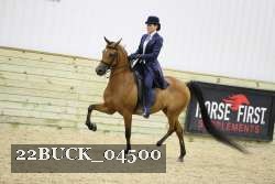 22BUCK_04500 proof