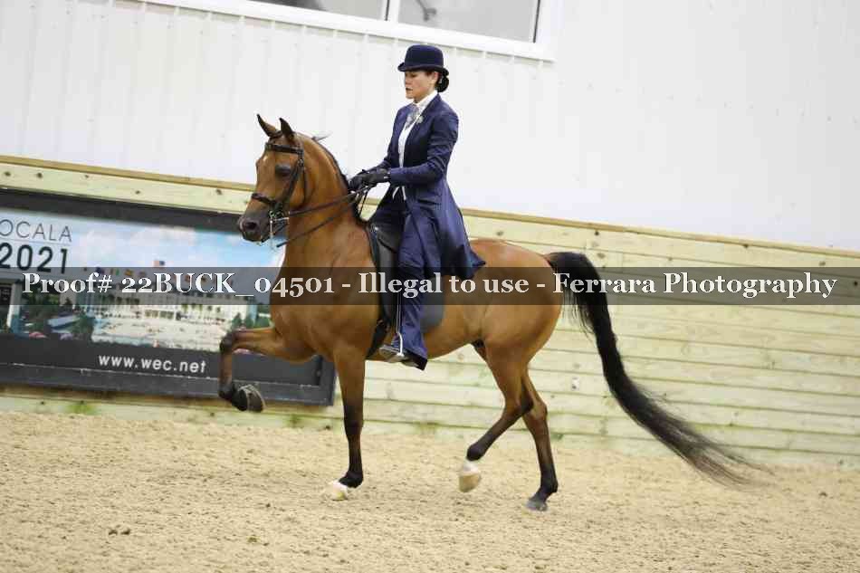 Proof 22BUCK_04501
