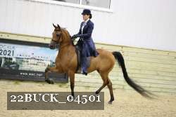22BUCK_04501 proof