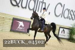 22BUCK_04502 proof