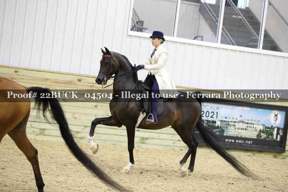 Proof 22BUCK_04504