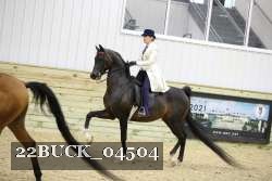 22BUCK_04504 proof