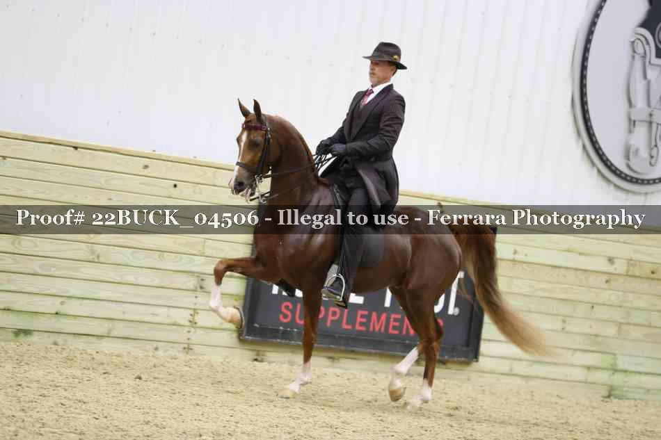 Proof 22BUCK_04506