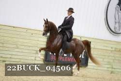 22BUCK_04506 proof