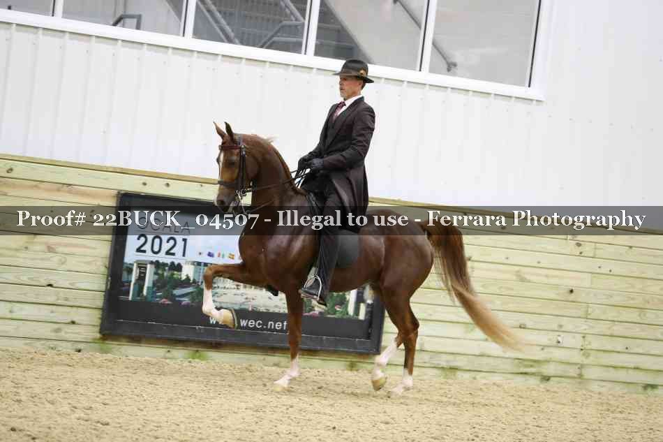 Proof 22BUCK_04507