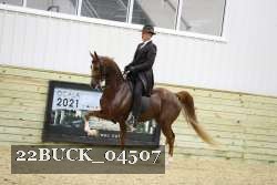 22BUCK_04507 proof
