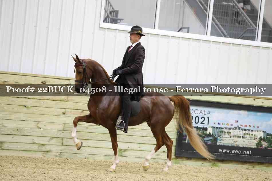 Proof 22BUCK_04508