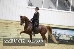 22BUCK_04508 proof
