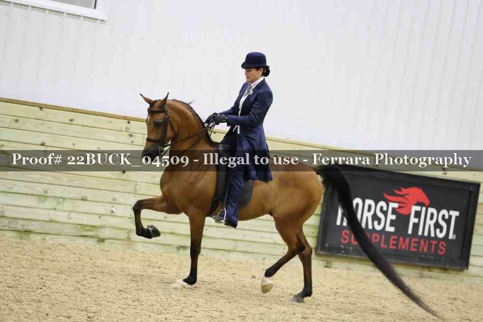 Proof 22BUCK_04509