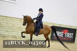 22BUCK_04509 proof