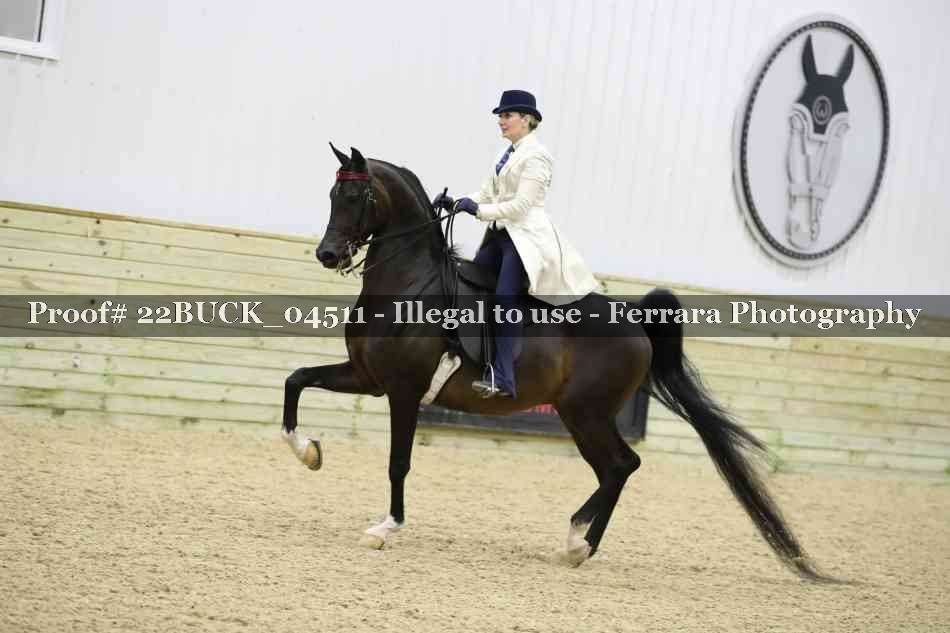 Proof 22BUCK_04511