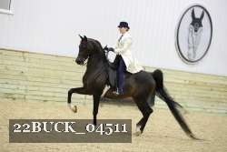 22BUCK_04511 proof
