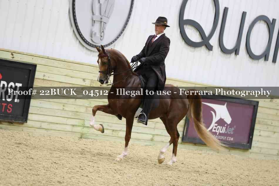 Proof 22BUCK_04512