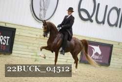 22BUCK_04512 proof