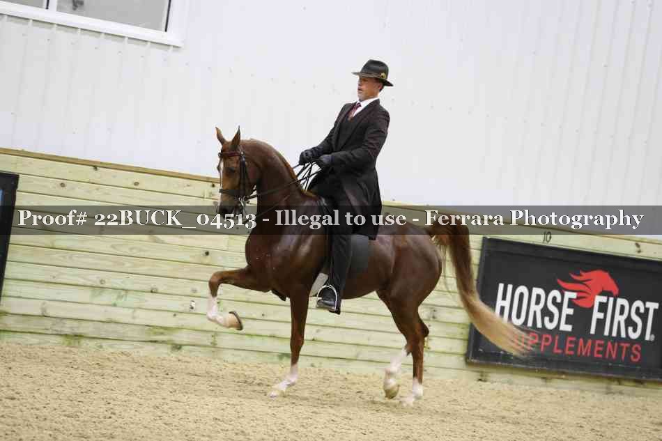 Proof 22BUCK_04513