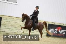 22BUCK_04513 proof