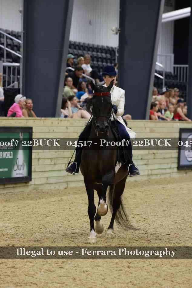 Proof 22BUCK_04517